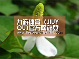 产品名称三