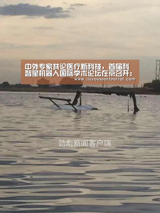中外专家共论医疗新科技，首届科智星机器人国际学术论坛在京召开：九游体育官网(图1)